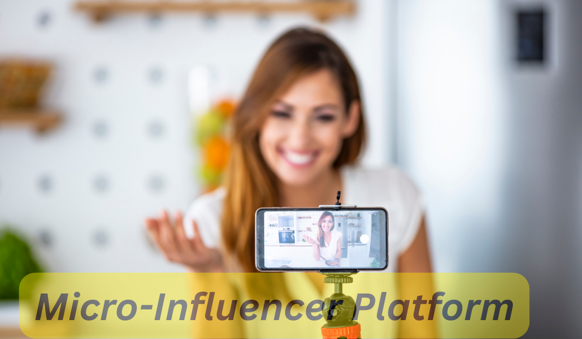 Micro-Influencer Platform